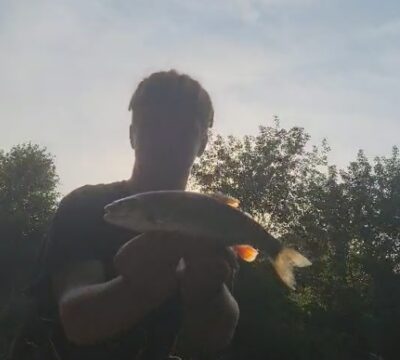 chub, 0.5 kg