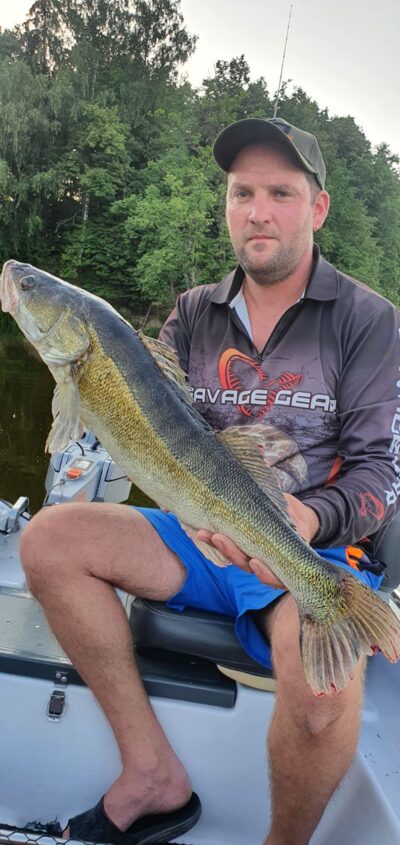 Pike perch, 4.0 kg