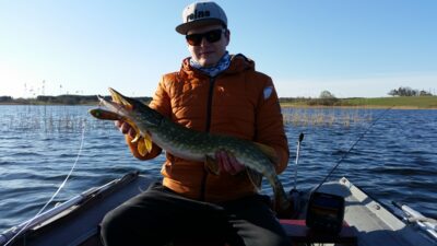 Northern Pike — Gudelių