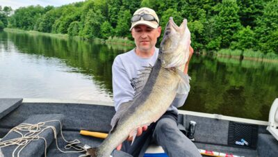 Pike perch