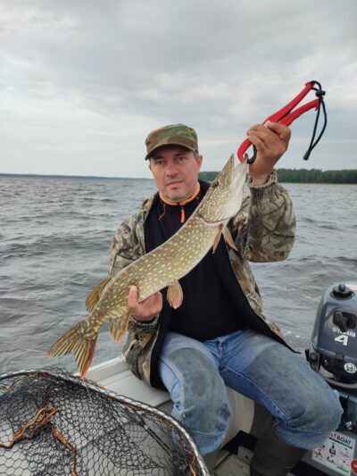 Northern Pike