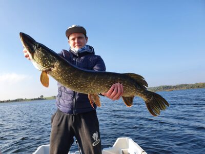 Northern Pike — Gudelių