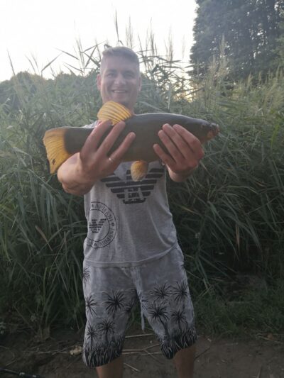 Tench ×2