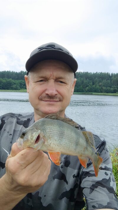 Eurasian perch — Neman River