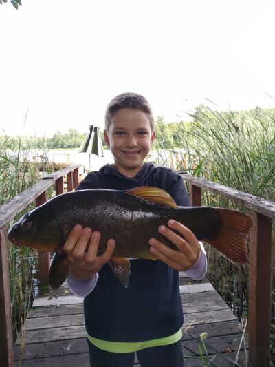 Tench, 1.5 kg — Ilgis