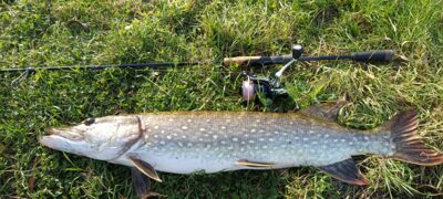 Northern Pike — Neman River