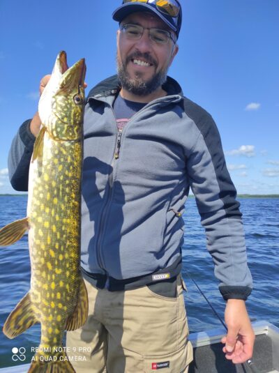 Northern Pike, 2.5 kg — Drūkšiai