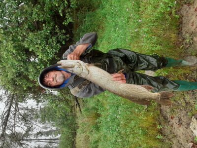 Northern Pike — Kings River