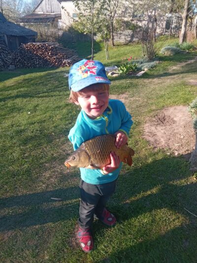 Carp, 2.0 kg