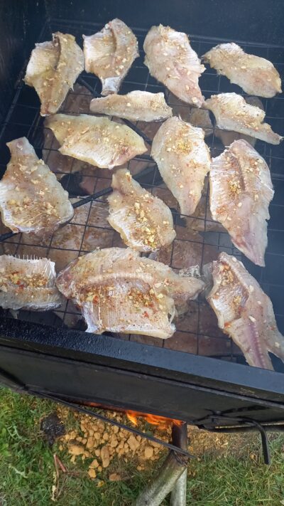 Carp bream