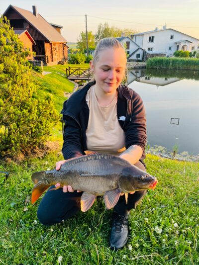 Mirror carp, 4.3 kg