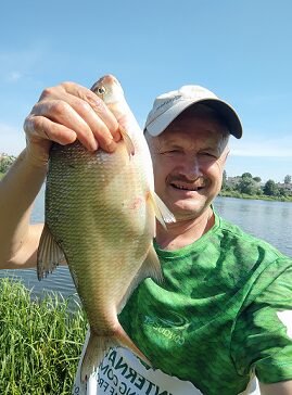 Carp bream