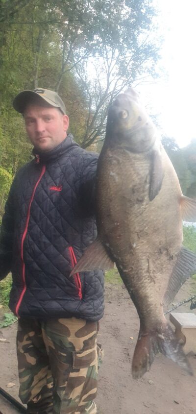 Carp bream, 3.1 kg