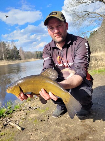 Tench