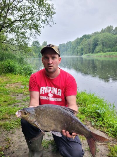 Carp bream, 2.8 kg