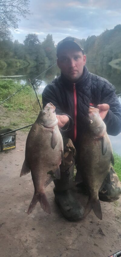 Carp bream