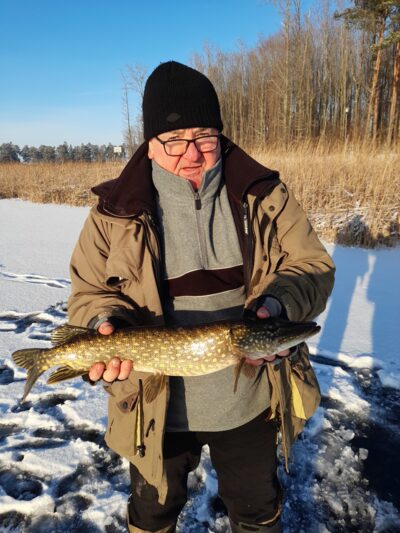 Northern Pike, 1.7 kg