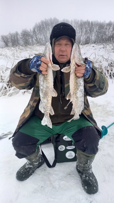Northern Pike ×2 — Aunuvėnų