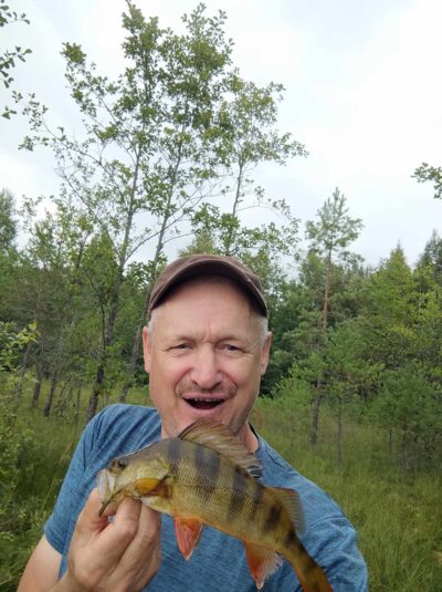 Eurasian perch