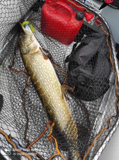 Northern Pike, 7.2 kg — Sartai
