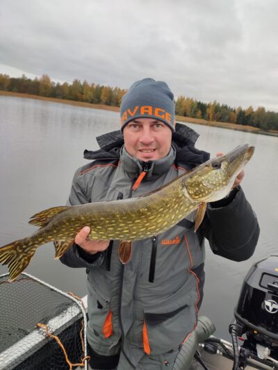 Northern Pike, 2.5 kg — Drūkšiai