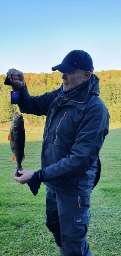 Eurasian perch, 1.1 kg