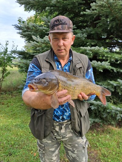 Carp, 3.5 kg
