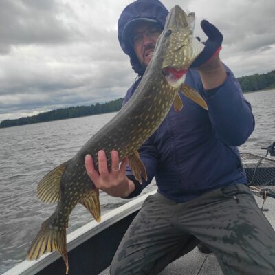 Northern Pike, 3.2 kg — Drūkšiai