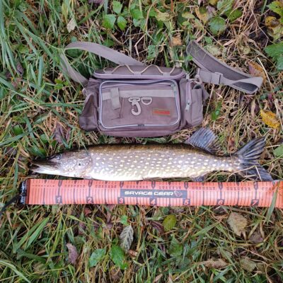 Northern Pike, 3.0 kg — Lėvuo