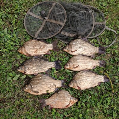 Prussian carp — Dvariukų