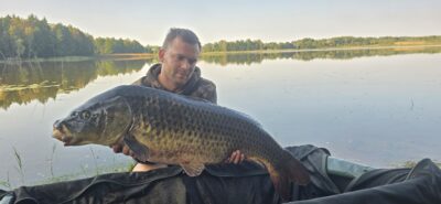Mirror carp, 16.5 kg — Padysnio HE