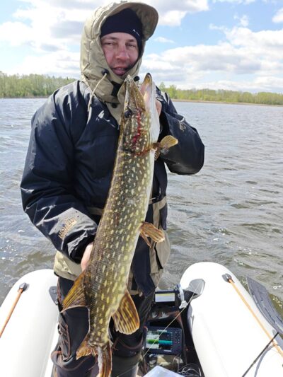 Northern Pike, 3.4 kg — Avilys