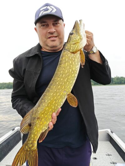Northern Pike, 4.1 kg — Drūkšiai
