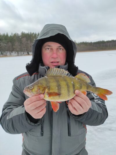 Eurasian perch — Dūkštas