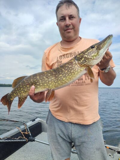Northern Pike, 3.1 kg — Drūkšiai