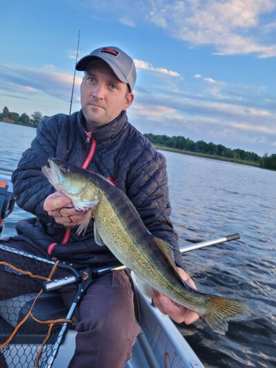 Pike perch, 2.8 kg