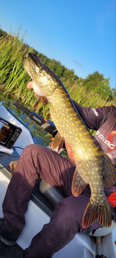 Northern Pike