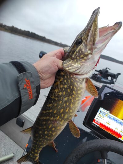 Northern Pike, 2.0 kg — Drūkšiai