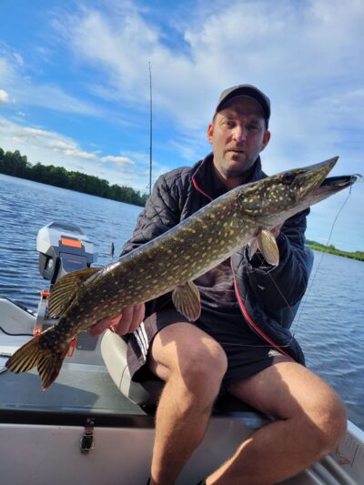 Northern Pike, 3.7 kg