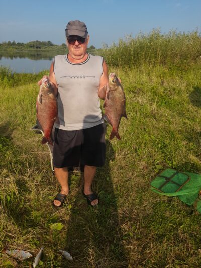 Carp bream
