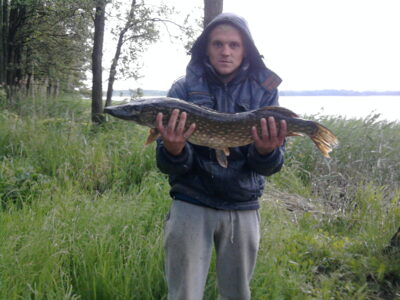 Northern Pike, 4.5 kg — Rimietis