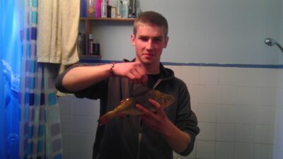 Eurasian perch, 0.6 kg