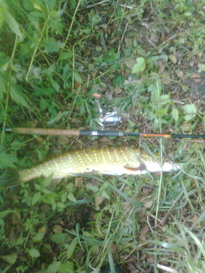 Northern Pike, 2.8 kg — Žeimena