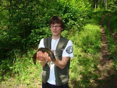 Tench, 0.5 kg — Spindžiukas
