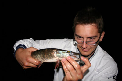 Northern Pike, 0.6 kg — Neman River