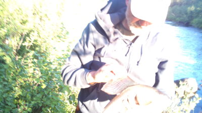 Grayling — Цага