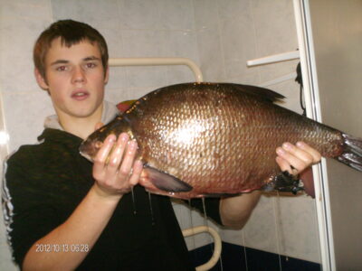 Carp bream, 3.4 kg — Pakasas