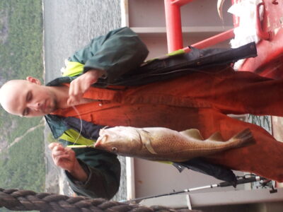 Atlantic cod, 4.3 kg