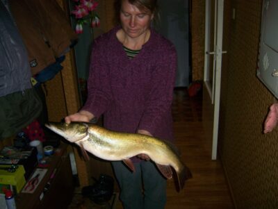 Northern Pike, 2.8 kg — Mūša