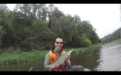 Asp — Neris River